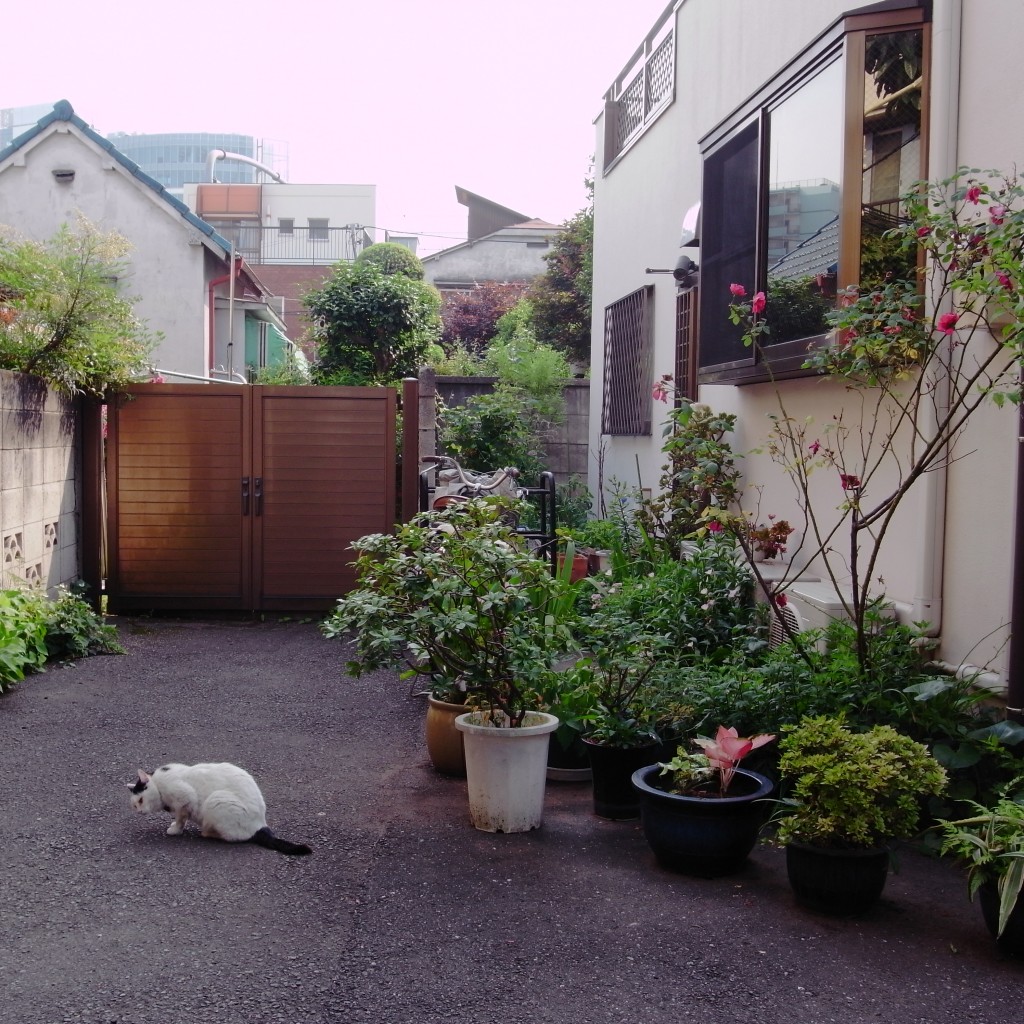 tokyo garden